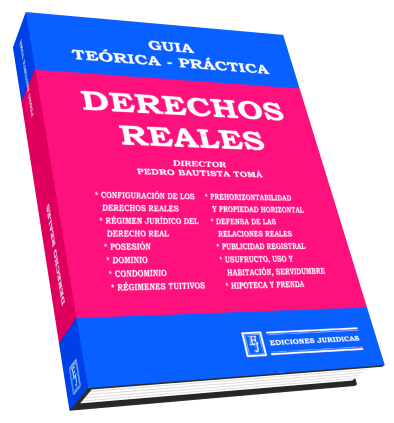 Guía Teórico Práctica - Derecho Reales